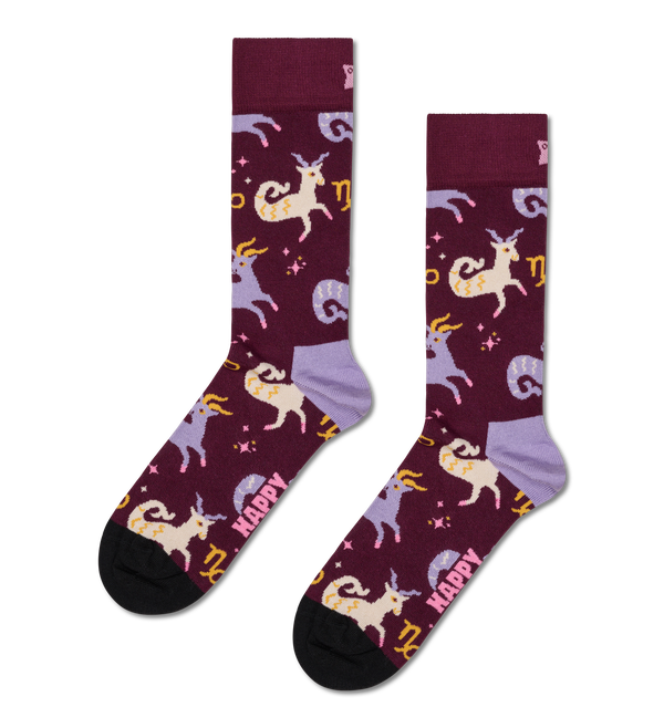 happy socks Capricorn Sock