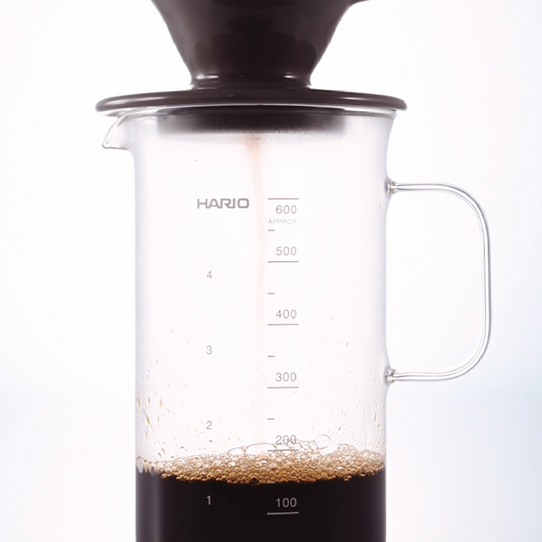 Hario Beaker Server & V60 Dripper Set