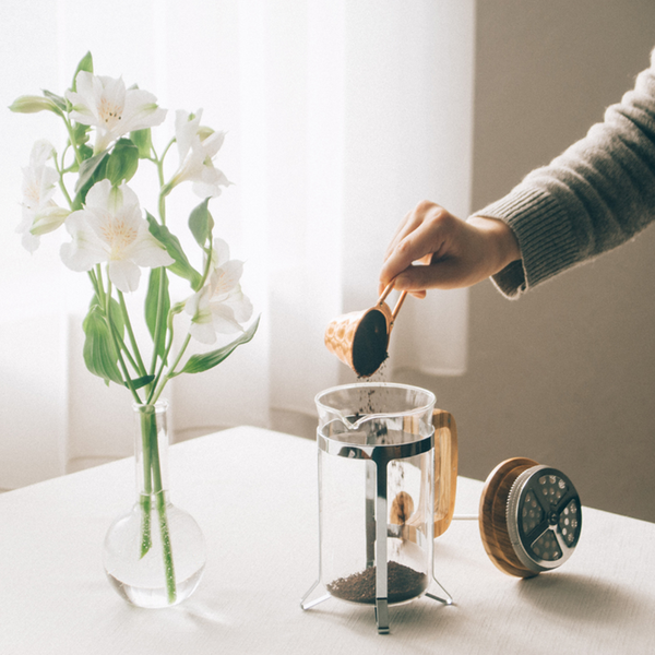 Hario Coffee Press Olive Wood