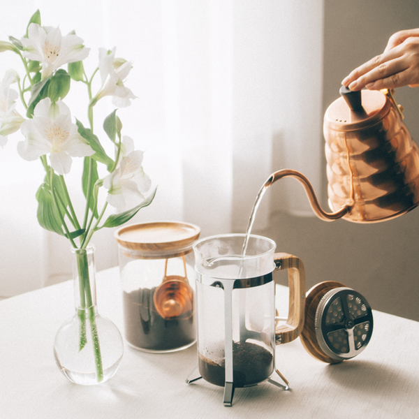 Hario Coffee Press Olive Wood