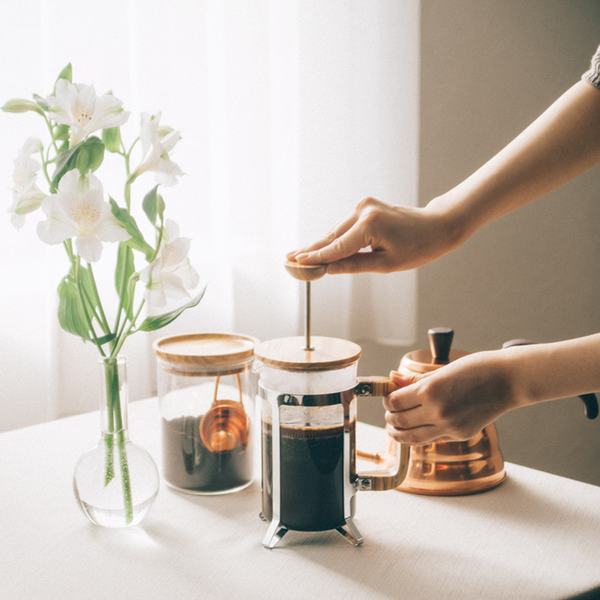 Hario Coffee Press Olive Wood