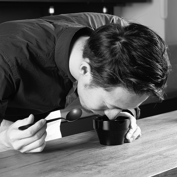 Hario Cupping Spoon "Kasuya" Model