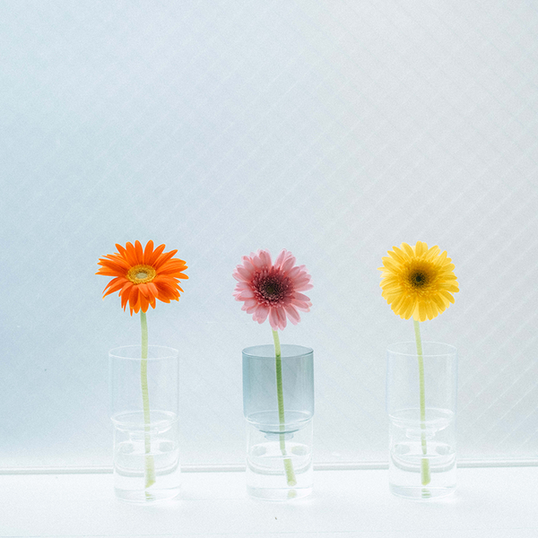 Hario [Life With Glass Series] Glass Flower Vase