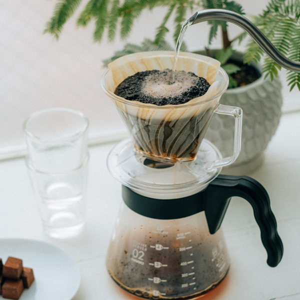 Hario Pegasus Coffee Dripper