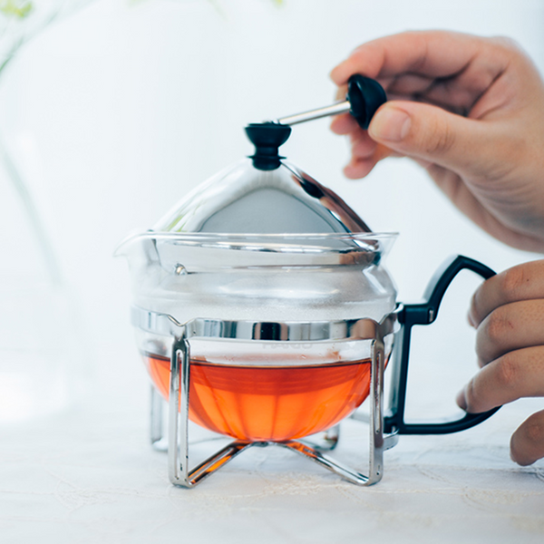 Hario Pull-up Tea Maker Chaor 300/600mL