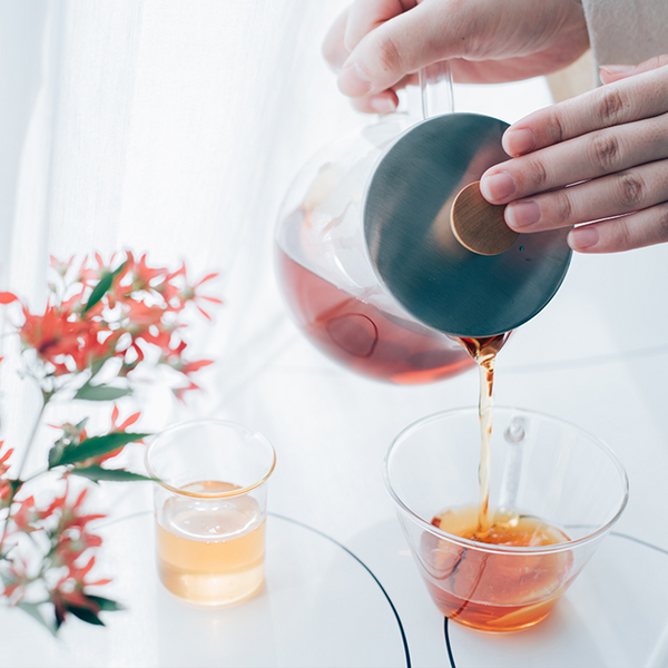 Hario Tea Pitcher 450/700mL