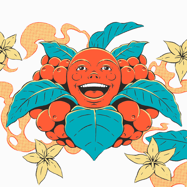 Hario V60 Artist Edition - Andreu Zaragoza