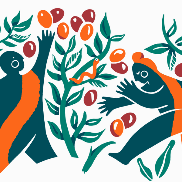 Hario V60 Artist Edition - Maren Bruin