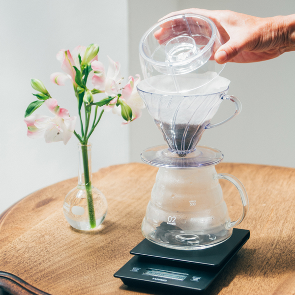 Hario V60 Drip-Assist Set 02 Size