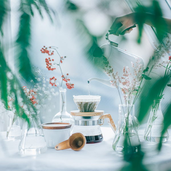 Hario V60 Olive Wood Glass Dripper