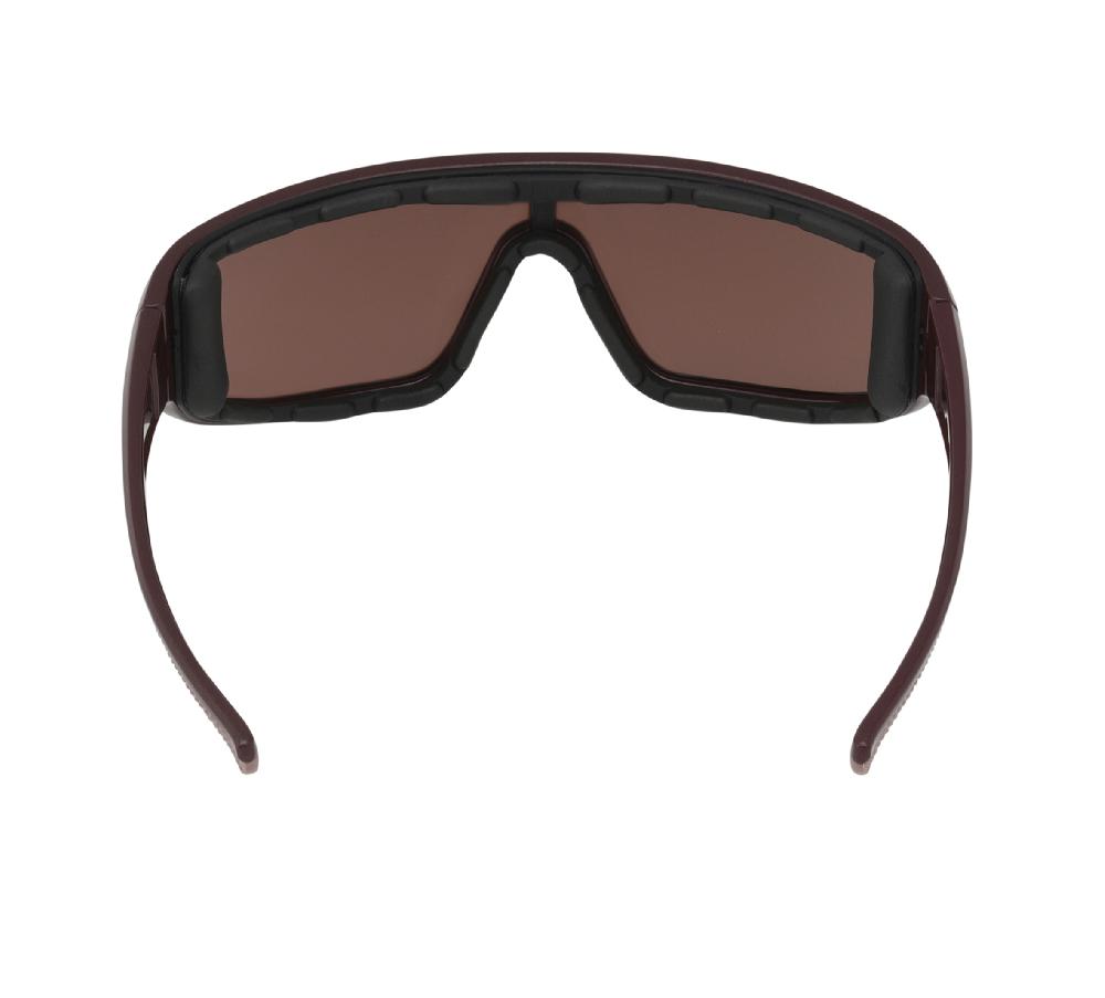 Harley Celebration Shield Motorcycle Riding Sunglasses