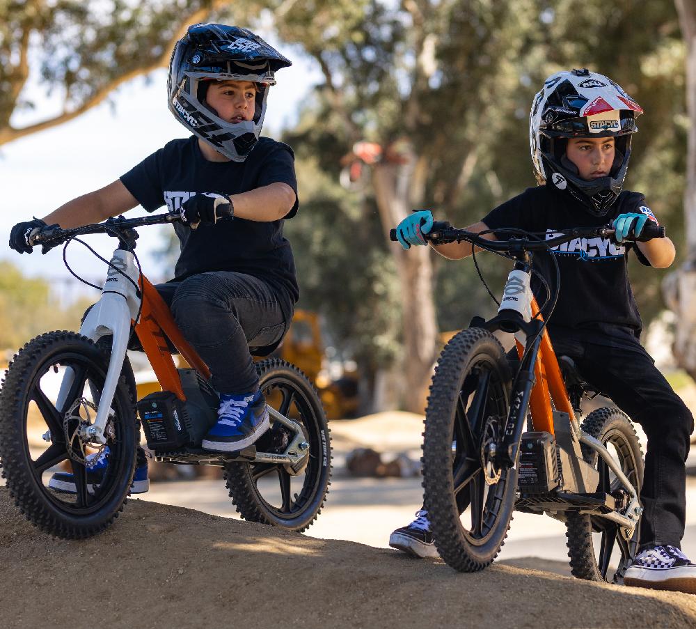 Harley EBike 18E Drive Adventure Touring Edition Bike