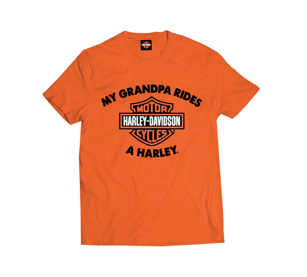 Harley Boys Grandpa Rides A Harley Tee