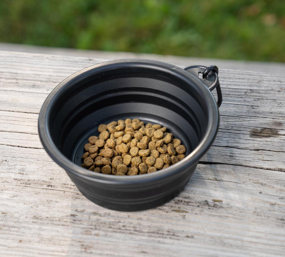 Harley Collapsable Pet Bowl