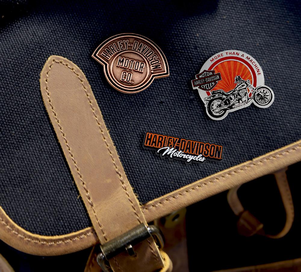 Harley Copper Harley® Pin
