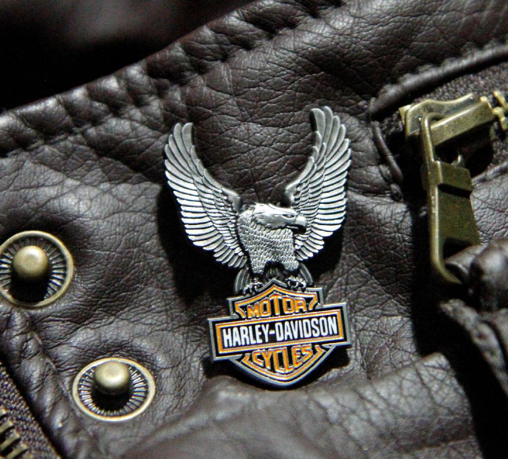 Harley Eagle Bar & Shield Pin