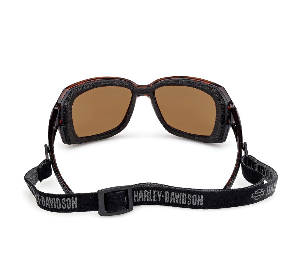 Harley Fire Bird Motorcycle Riding Eyewear