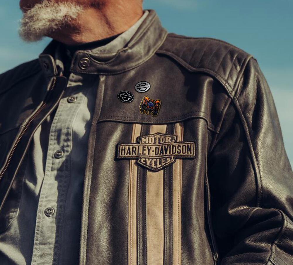 Harley Inverted Hollow Shield Pin Set