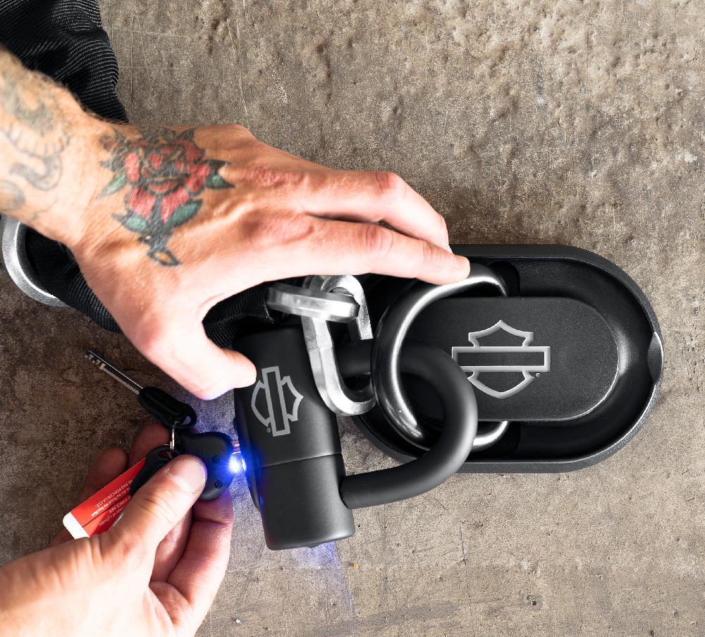 Harley Loop Chain And Disc Brake & Rotor Lock