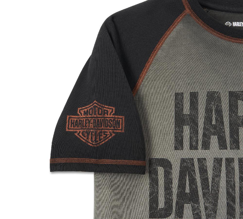 Harley Men's Iron Bar Raglan Tee