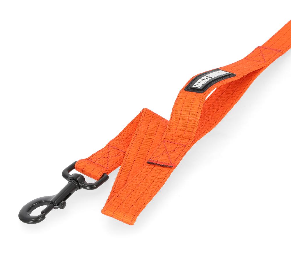 Harley Nylon Dog Leash Orange - 6'