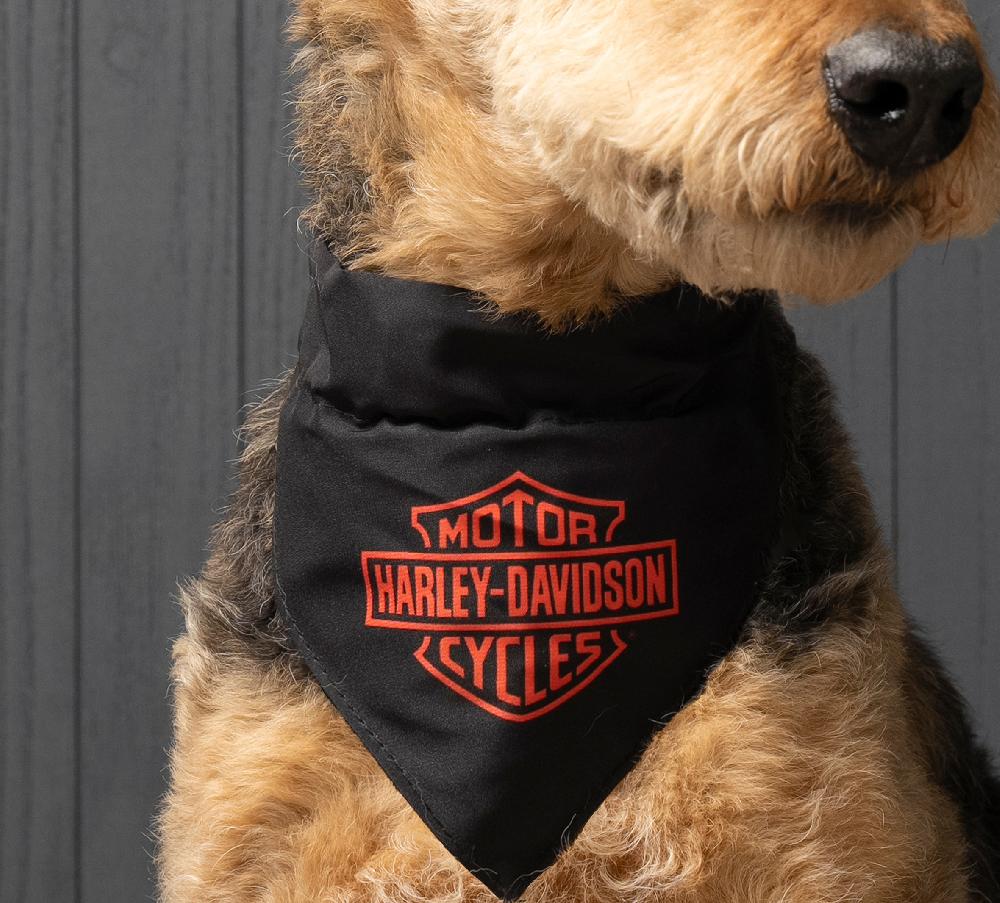 Harley Pet Bandana In Black