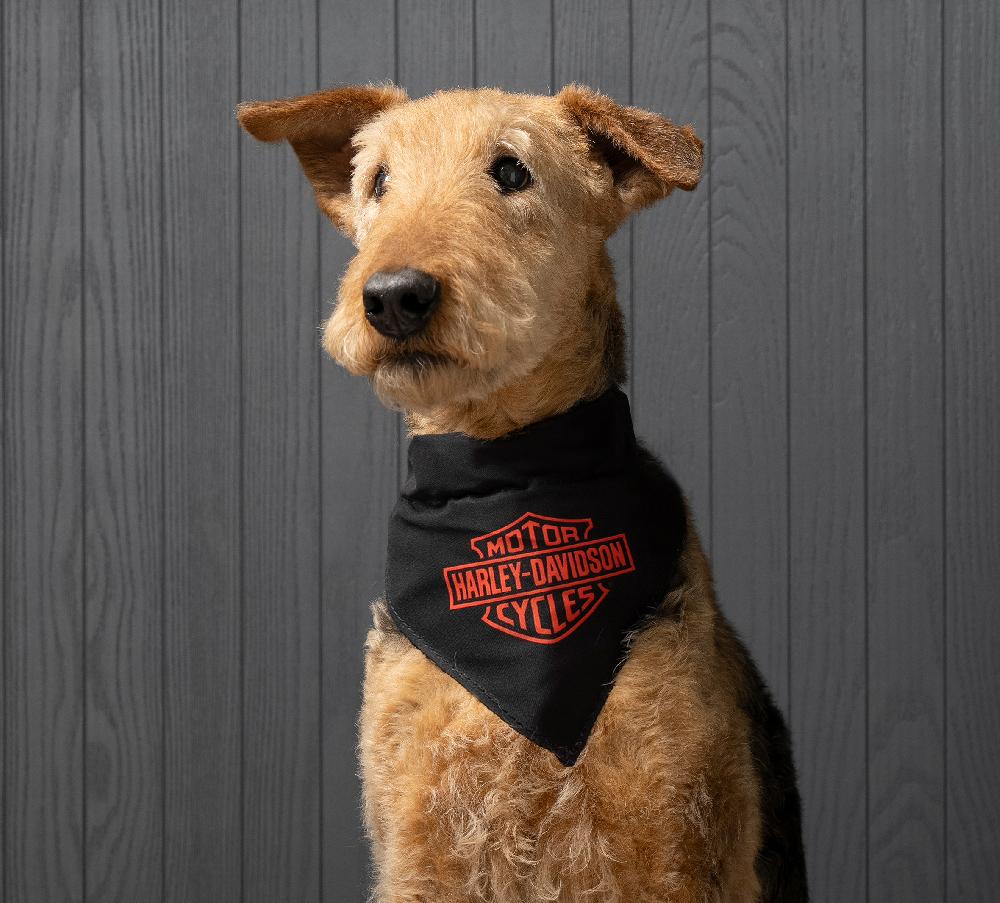 Harley Pet Bandana In Black