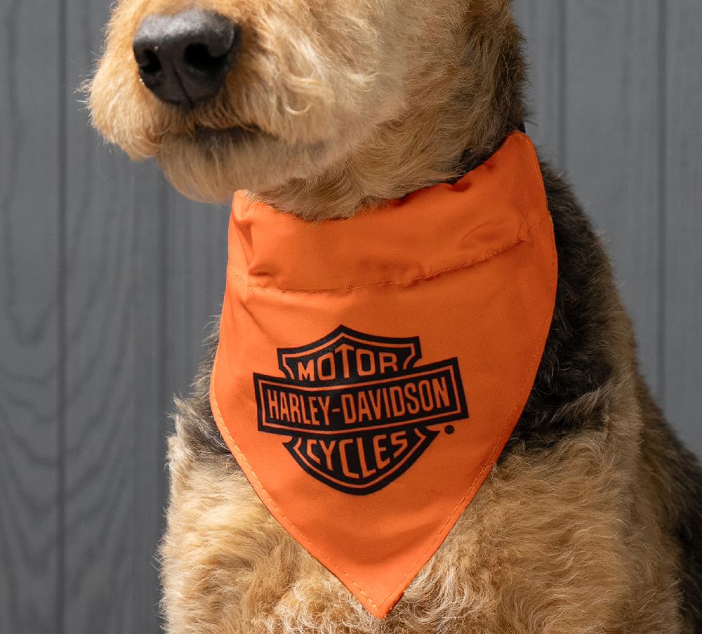 Harley Pet Bandana In Orange