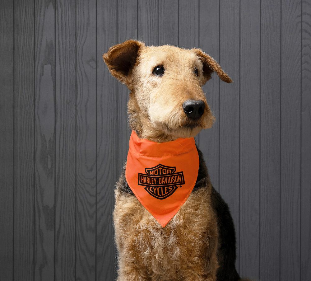 Harley Pet Bandana In Orange