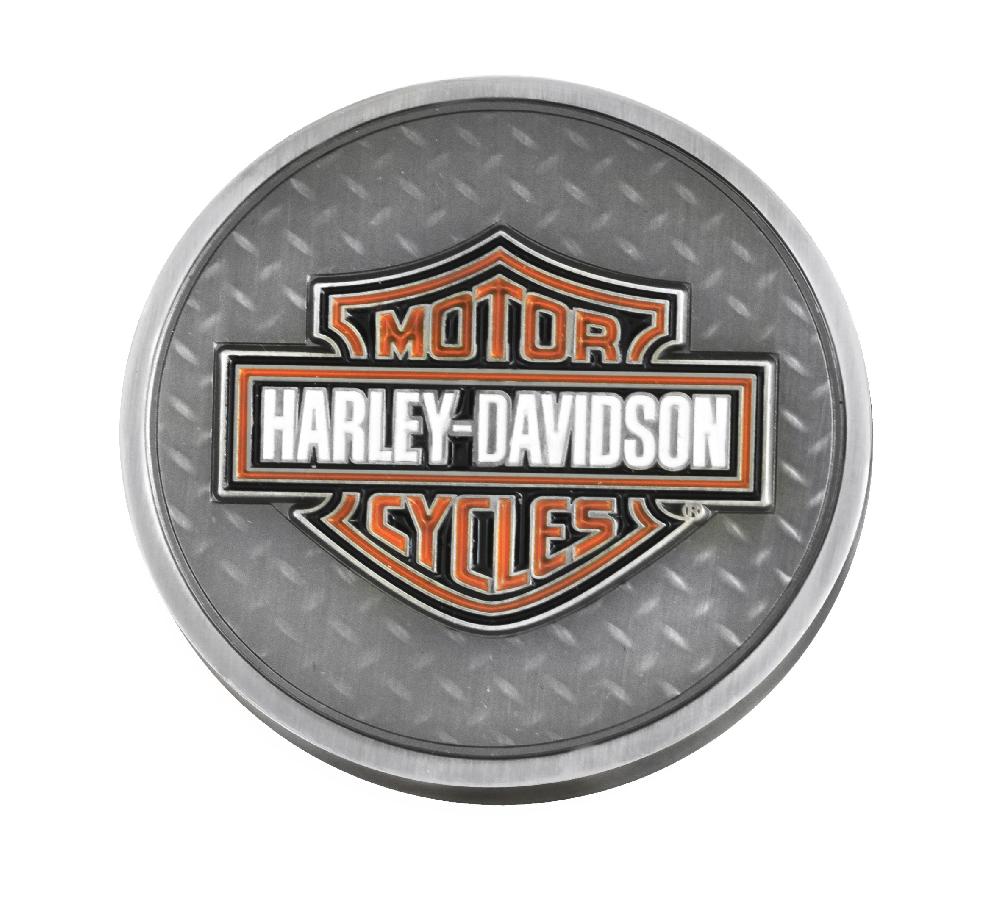 harley The Skull Coin