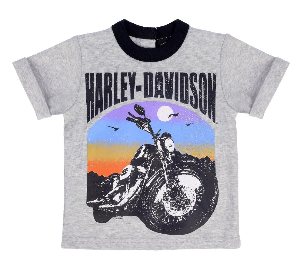 Harley Toddler Boys Knit Short Set