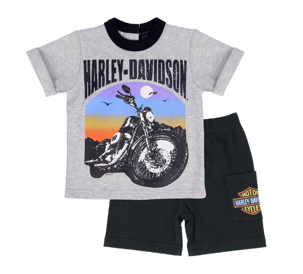 Harley Toddler Boys Knit Short Set