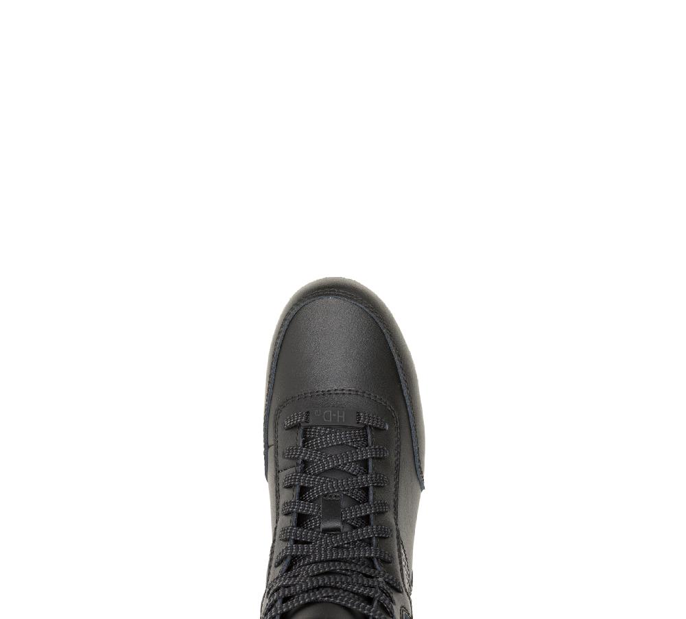 Harley Women's Grady Stud Sneaker
