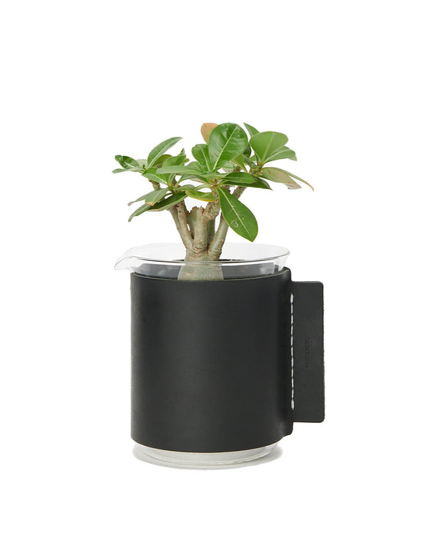 Haven Beaker/500Ml Vase Black