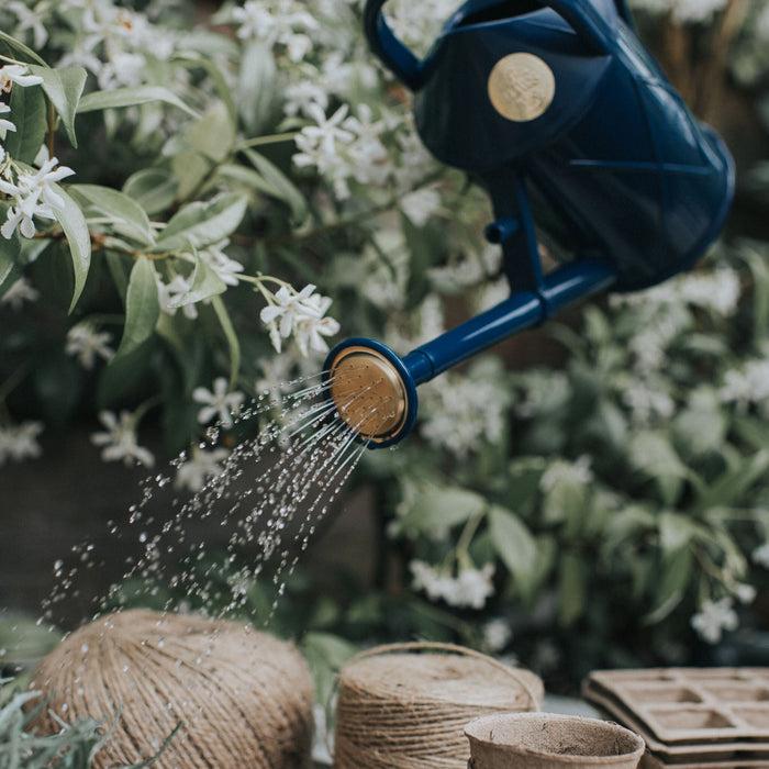 Haws Bartley Burbler Plastic Rose - Blue Plastic Rose