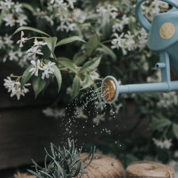 Haws Bartley Burbler Plastic Rose - Duck Egg Blue Plastic Rose