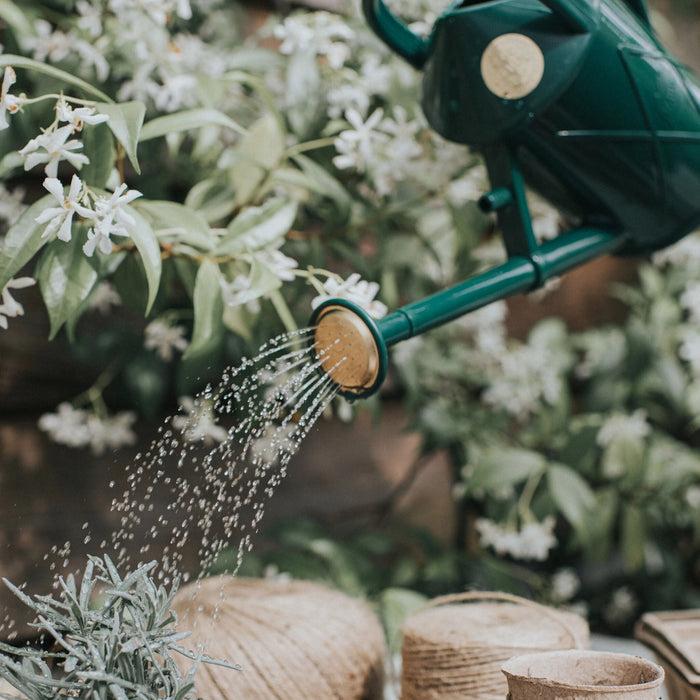 Haws Bartley Burbler Plastic Rose - Green Plastic Rose