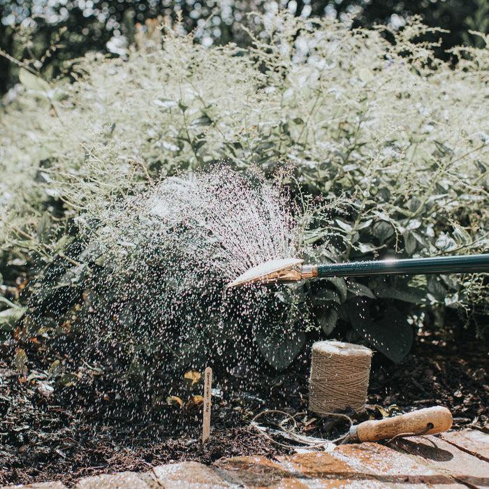 Haws Brass Bedding Rose - Fine Spray Brass Bedding Rose