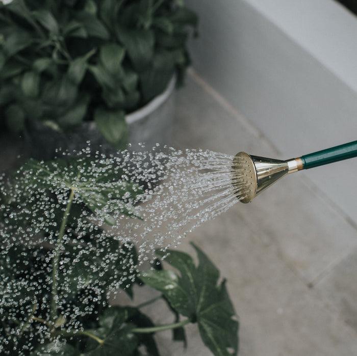 Haws Brass Potting Rose - Extra Coarse Spray Brass Potting Rose