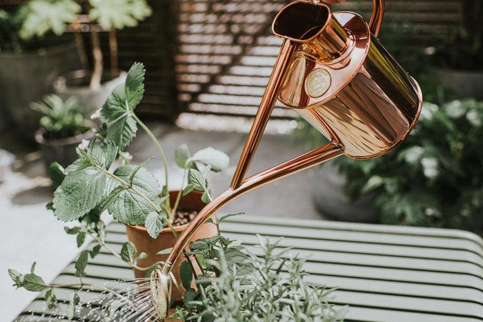 Haws Copper Rowley Ripple & Brass Smethwick Spritzer Copper Watering Can And Spritzer Bundle