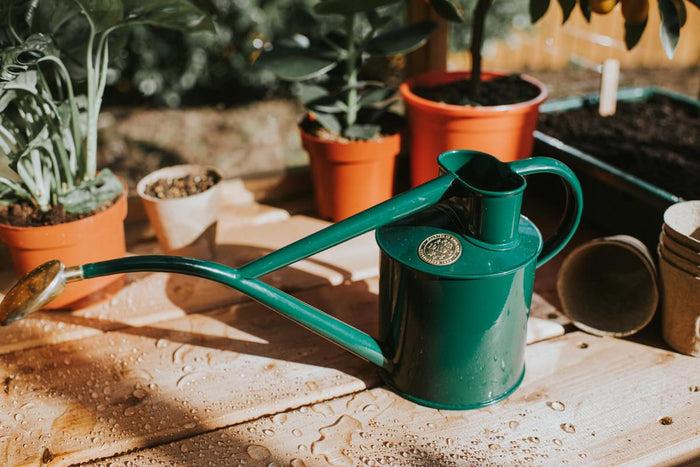 Haws Green Rowley Ripple & Brass Smethwick Spritzer Indoor Metal Watering Can And Brass Spritzer Bundle