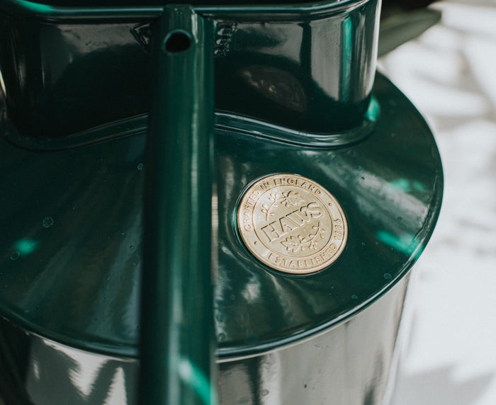 haws Large Medallion Large Medallion