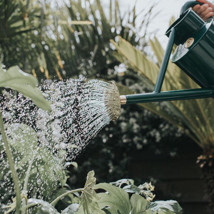 Haws The General Purpose Rose General Purpose Rose