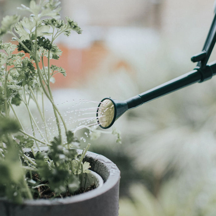 Haws Langley Sprinkler Plastic Rose - Green Plastic Rose