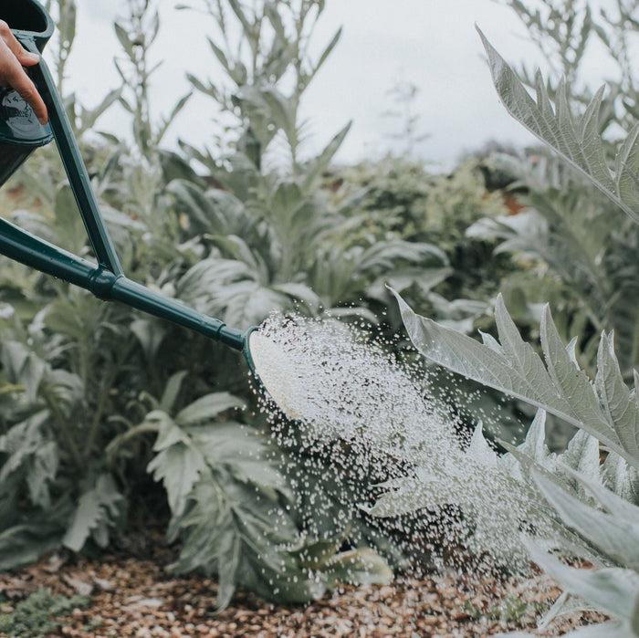 Haws Plastic Bedding Rose - Fine Spray (High Flow) Plastic Bedding Rose