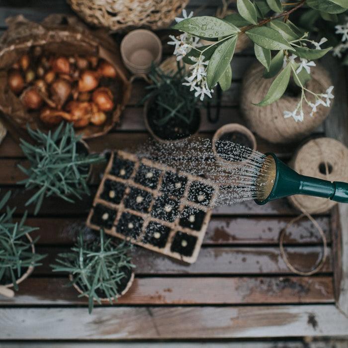 Haws Plastic Potting Rose - Extra Fine Spray Plastic Potting Rose