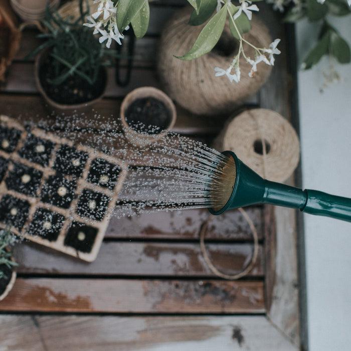 Haws Plastic Potting Rose - Fine Spray Plastic Potting Rose