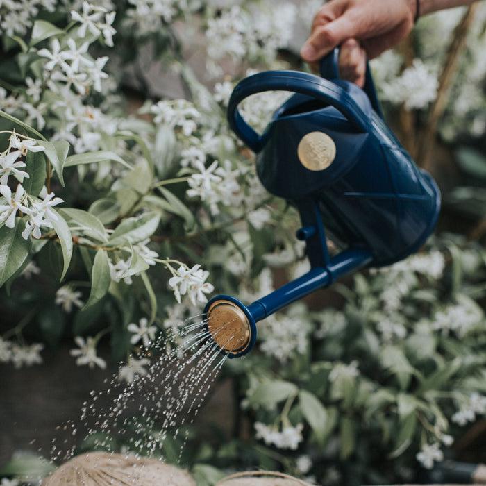 Haws The Bartley Burbler Blue - Two Pint Indoor Plastic Watering Can