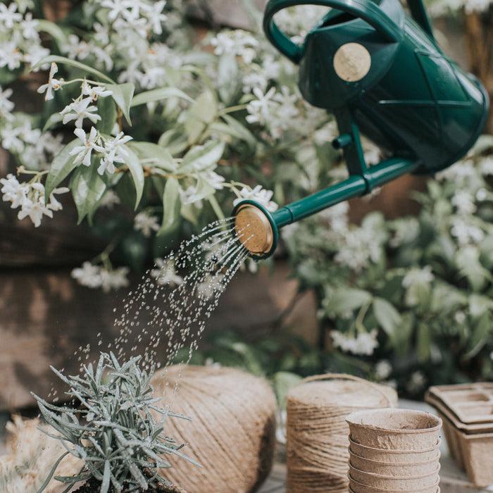 Haws The Bartley Burbler Green - Two Pint Indoor Plastic Watering Can