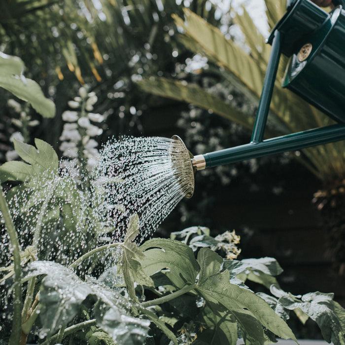Haws The Bearwood Brook Green - One Gallon Outdoor Metal Watering Can
